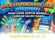 Cara Cepat Dapat Saldo Dana 2026 Lewat Game Sortir Warna Paling Seru dan Terbukti Cair