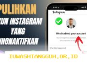 Cara Efektif Memulihkan Akun Instagram yang Kena Batasan Akses Terbaru di Tahun 2026