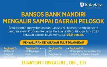 Cara Mengatasi Kendala Pencairan Bansos dan Update Saldo Mandiri per 12 Mei 2026