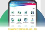 Cara Mudah Cek Status Aktif BPJS Kesehatan Lewat WhatsApp dan Mobile JKN di Tahun 2026