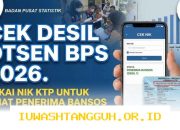 Cara Mudah Cek Status Data Desil DTSEN 2026 Pakai NIK KTP Secara Online Tanpa Ribet