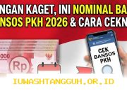 Cara Mudah Lacak Status Penyaluran Bansos Sembako dan PKH Mei 2026 Lewat Nomor NIK