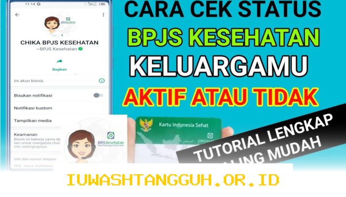 Cara Mudah Mengecek Status Kepesertaan BPJS Kesehatan 2026 Lewat WhatsApp dan Mobile JKN