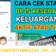 Cara Mudah Mengecek Status Kepesertaan BPJS Kesehatan 2026 Lewat WhatsApp dan Mobile JKN