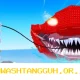 Daftar 5 Update Terbaru Fish It Retro di Tahun 2026 yang Sangat Dinantikan Para Pemain
