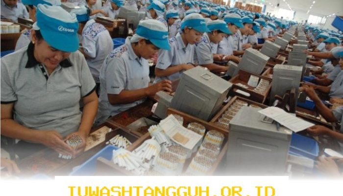 Dampak Buruk Legalisasi Rokok Ilegal bagi 10 Ribu Pekerja Industri Tahun 2026 Mendatang