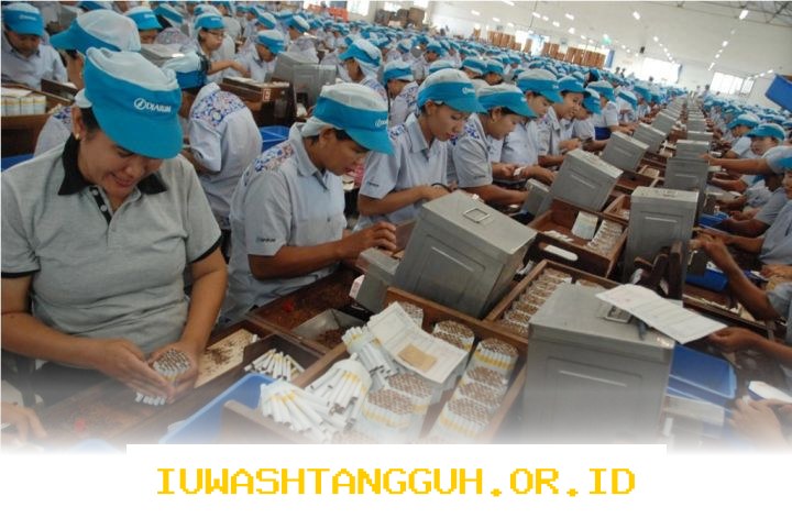 Dampak Buruk Legalisasi Rokok Ilegal bagi 10 Ribu Pekerja Industri Tahun 2026 Mendatang