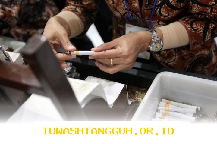 Dampak Kenaikan 5 Layer Tarif Cukai Rokok terhadap Stabilitas Industri Tembakau di 2026