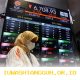 Deretan Saham Perbankan Besar Alami Koreksi Harga pada Awal Sesi Senin 11 Mei 2026