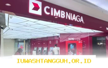 Faktor Pendorong Lonjakan Laba Bersih CIMB Niaga Mencapai Rp 1,76 Triliun Tahun 2026