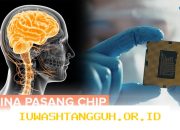 Inovasi 3 Teknologi Antarmuka Otak China Percepat Pemulihan Pasien Saraf di Tahun 2026