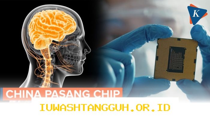 Inovasi 3 Teknologi Antarmuka Otak China Percepat Pemulihan Pasien Saraf di Tahun 2026