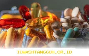 Inovasi Baru 2026 Pengobatan Malaria Khusus Bayi dengan Persetujuan Resmi dari WHO