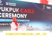 Jalur Kabel Laut Pukpuk Resmi Beroperasi di 2026 Jadi Penghubung Digital Indonesia Papua