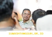 Kemenag Resmi Berikan Tunjangan Profesi bagi 15 Ribu Guru Muadalah dan Diniyah di 2026