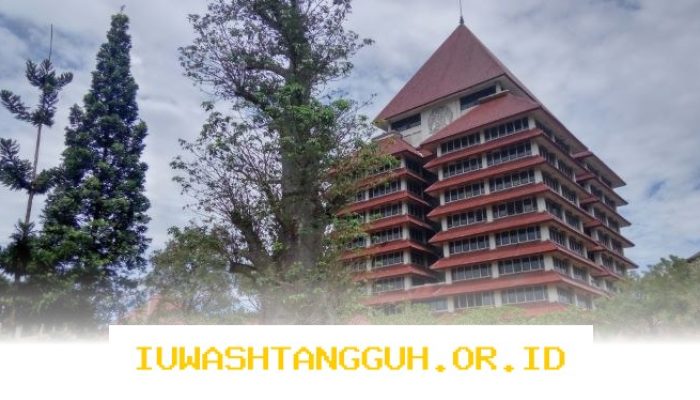 Kesempatan Karier Terbaru di Universitas Indonesia untuk Posisi Staf LPPIA Tahun 2026