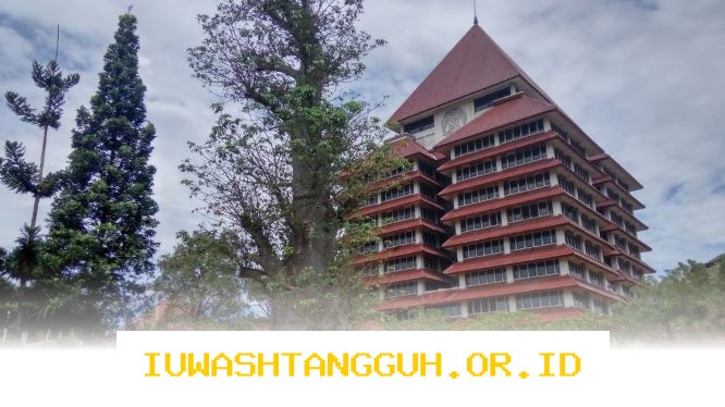 Kesempatan Karier Terbaru di Universitas Indonesia untuk Posisi Staf LPPIA Tahun 2026