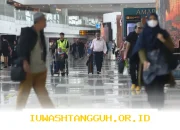 Langkah Strategis YOII dalam Mengimplementasikan Standar PSAK 117 di Tahun 2026 Mendatang
