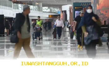 Langkah Strategis YOII dalam Mengimplementasikan Standar PSAK 117 di Tahun 2026 Mendatang