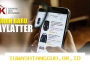 OJK Siapkan Aturan Baru Pembatasan Layanan Paylater agar Lebih Aman pada Tahun 2026