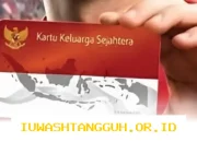 Panduan Lengkap Cara Cek Saldo KKS Bansos Terbaru 2026 dan Perbandingan Bank Penyalur