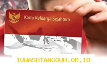Panduan Lengkap Cara Cek Saldo KKS Bansos Terbaru 2026 dan Perbandingan Bank Penyalur