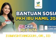 Panduan Lengkap Memantau Pencairan Dana Bantuan Sosial Ibu Hamil Terbaru Tahun 2026