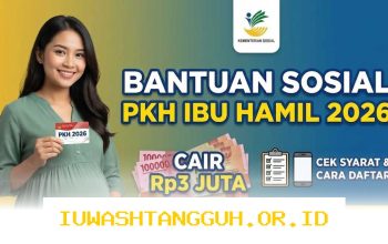 Panduan Lengkap Memantau Pencairan Dana Bantuan Sosial Ibu Hamil Terbaru Tahun 2026