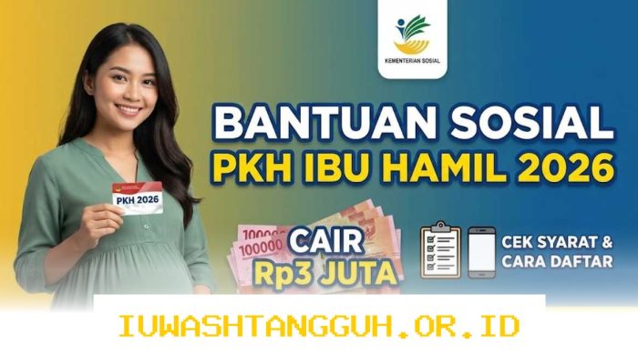 Panduan Lengkap Memantau Pencairan Dana Bantuan Sosial Ibu Hamil Terbaru Tahun 2026