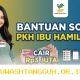 Panduan Lengkap Memantau Pencairan Dana Bantuan Sosial Ibu Hamil Terbaru Tahun 2026
