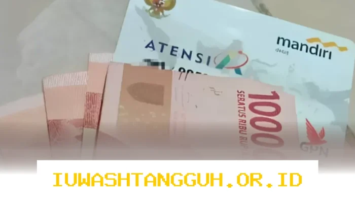 Panduan Lengkap Pencairan Bantuan ATENSI YAPI 2026 Beserta Nominal dan Cara Cek Data