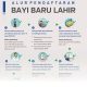 Panduan Lengkap Pendaftaran BPJS Kesehatan untuk Bayi Baru Lahir di Tahun 2026 Ini