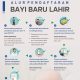 Panduan Lengkap Pendaftaran BPJS Kesehatan untuk Bayi Baru Lahir di Tahun 2026 Terbaru