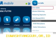Panduan Mudah Melihat Detail Nomor Rekening BCA Lewat Aplikasi Mobile dan Web Tahun 2026
