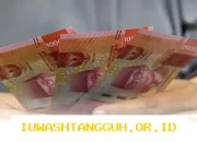 Panduan Mudah Mengecek Daftar Penerima Bansos PKH dan BPNT Tahap 2 Cair Tahun 2026