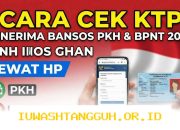 Panduan Praktis Cara Mengetahui Status Bansos PKH dan BPNT Tahun 2026 Beserta Nominalnya