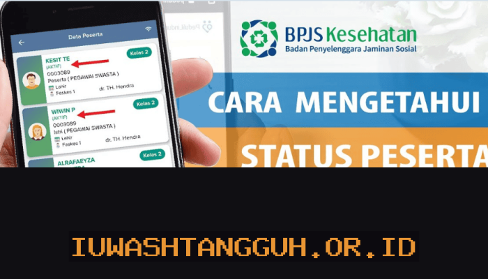 Panduan praktis cek status kepesertaan BPJS Kesehatan aktif atau tidak via 5 cara 2026