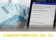 Panduan praktis cek status penerima bansos Kemensos 2026 pakai NIK KTP lewat ponsel
