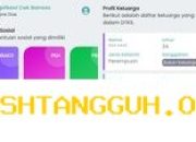 Panduan Praktis Melacak Status Desil Kemensos 2026 Pakai NIK KTP Secara Online via HP