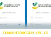 Panduan Praktis Melacak Status Pencairan Bansos BPNT dan PKH Periode Mei 2026 Via HP