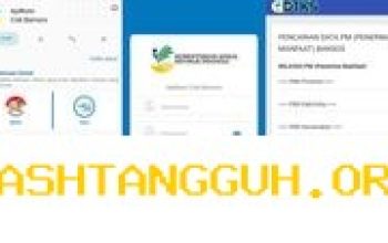 Panduan Praktis Melacak Status Penerima Bantuan PKH dan BPNT Secara Online Mei 2026