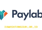 Paylabs Perluas Jangkauan Layanan Pembayaran Digital Demi Capai 10 Target Baru di 2026