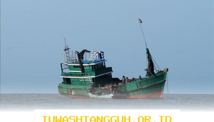 Peluang Kerja Baru bagi 20 Ribu Awak Kapal untuk Mendukung Modernisasi Armada di 2026