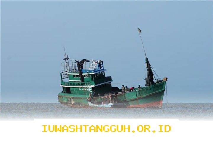 Peluang Kerja Baru bagi 20 Ribu Awak Kapal untuk Mendukung Modernisasi Armada di 2026