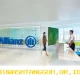 Pencapaian Laba Allianz Life yang Tembus 5 Triliun Rupiah pada Kuartal Pertama 2026