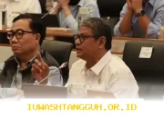 Penjelasan Resmi BKN Terkait Nasib Kejelasan Status PPPK Paruh Waktu di Tahun 2026 Ini