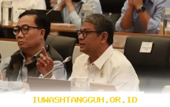 Penjelasan Resmi BKN Terkait Nasib Kejelasan Status PPPK Paruh Waktu di Tahun 2026 Ini