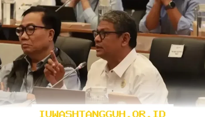 Penjelasan Resmi BKN Terkait Nasib Kejelasan Status PPPK Paruh Waktu di Tahun 2026 Ini
