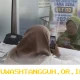 Penyaluran Bansos PKH dan BPNT Mei 2026 Cair ke KKS dengan Nominal Hingga 1,5 Juta Rupiah