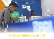 Performa Margin Bunga Bersih Perbankan 2026 Turun ke 4,38% BRI dan Allo Bank Berjaya